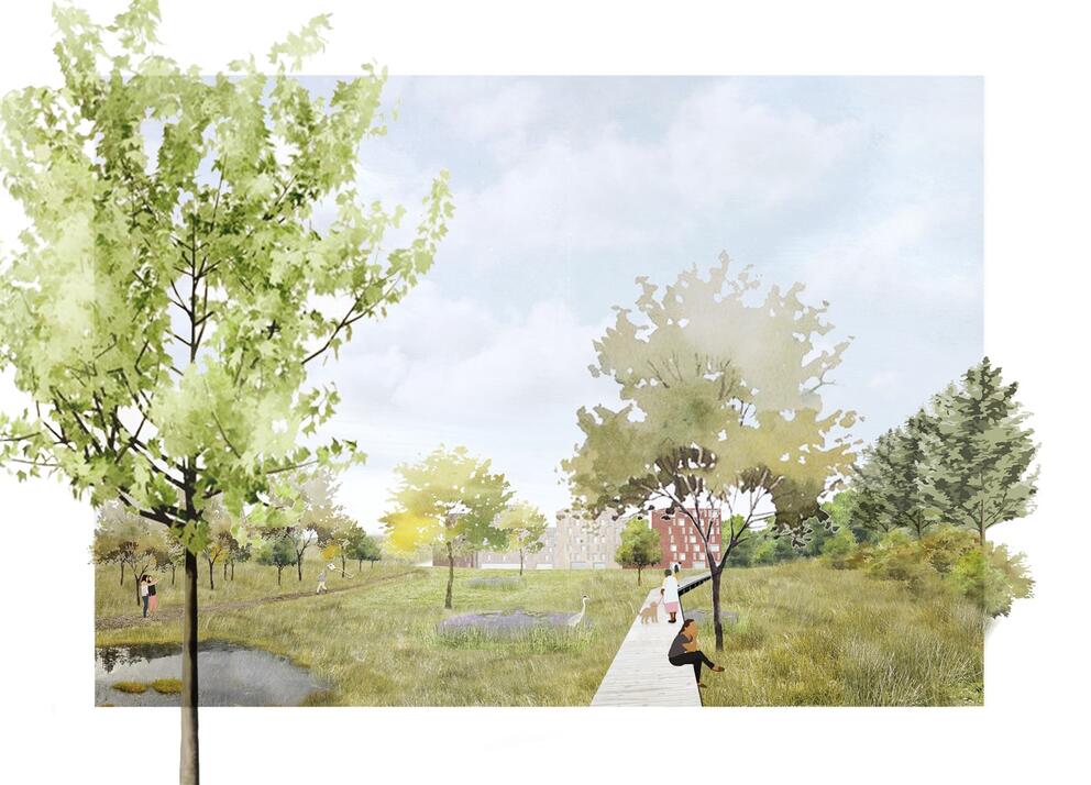 Josaphat: zicht op het biopark. © perspective.brussels / BUUR